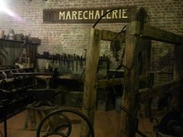  (20131022_08.jpg)