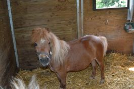  (201407031105_03.jpg)