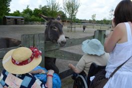  (201407031105_04.jpg)