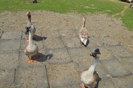  (201407031105_05.jpg)