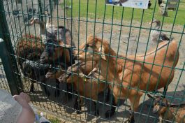  (201407031106_06.jpg)