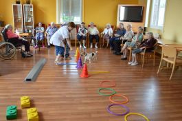  (201407031106_10.jpg)