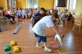  (201407031106_11.jpg)