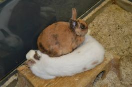  (201410221529_13.jpg)