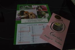  (201501211058_17.jpg)