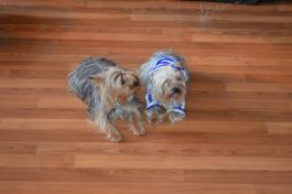  (201507021527_16.jpg)