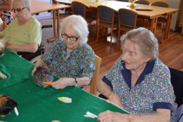  (201509221113_08.jpg)