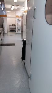  (201602231025_09.jpg)