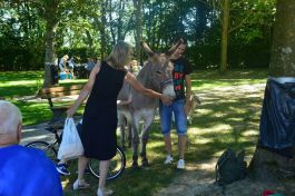  (201609061305_05.jpg)