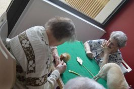  (201610211412_11.jpg)