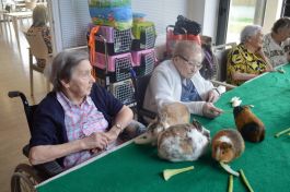  (201610211413_12.jpg)