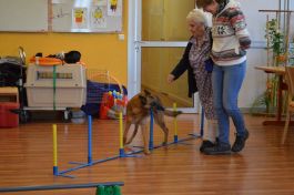  (201704211032_13.jpg)