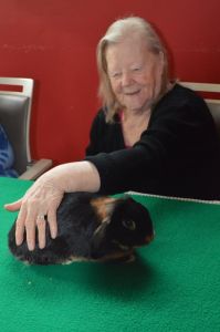  (201704211033_15.jpg)