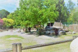  (201807231541_23.jpg)