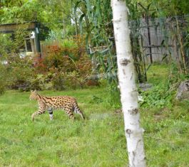  (201807231542_25.jpg)