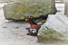  (201807231543_26.jpg)