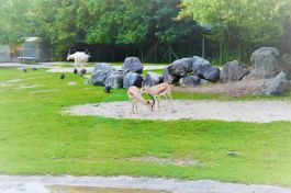  (201807231543_27.jpg)