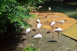  (201807231544_28.jpg)