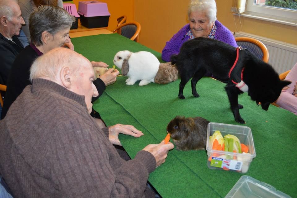 Rencontre avec les animaux.