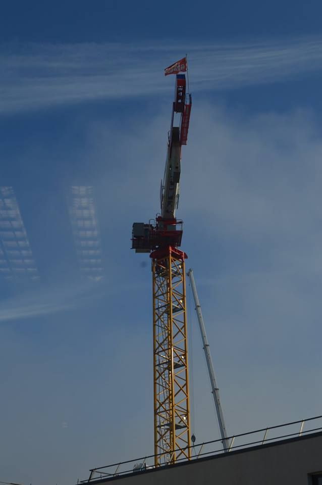 Grue